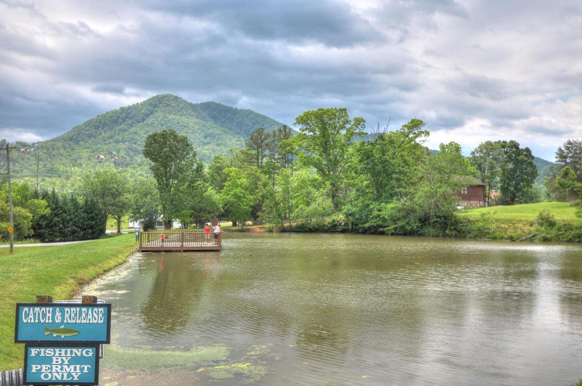 Bears Valley Inn - Great Location! - Peaceful, Children And Dog Friendly Retreat - Less Than 15 Min To All Attractions - Private Pool Club & Fishing Hole - Game Room With Tv Сивиървил Екстериор снимка